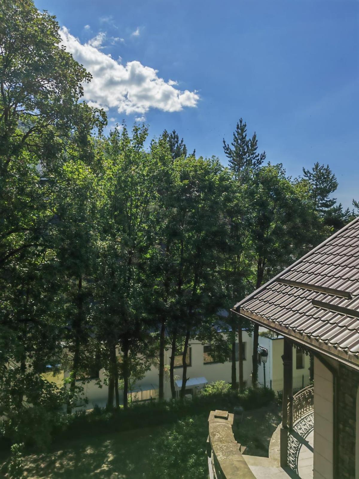 Castelul Stirbey Hotel Sinaia Exterior foto