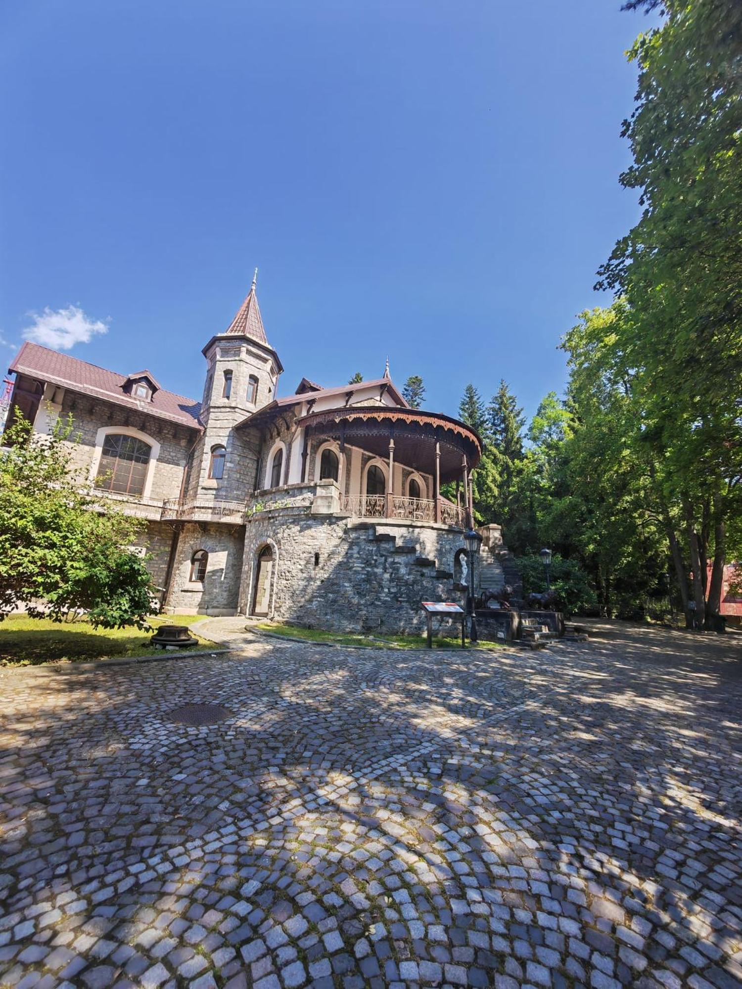 Castelul Stirbey Hotel Sinaia Exterior foto